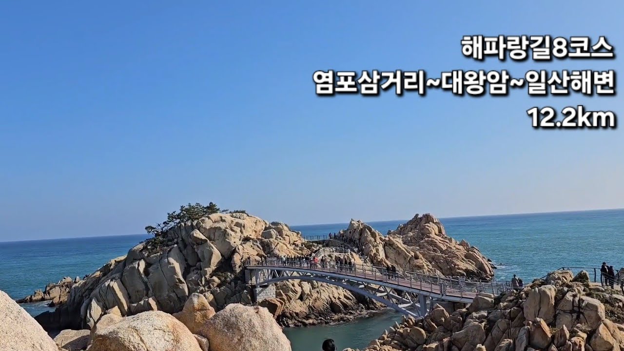 [해파랑길] 8코스 / 염포삼거리~대왕암~일산해변 / 해파랑길 리본이 굉장히 많이 소실되어있는 염포산