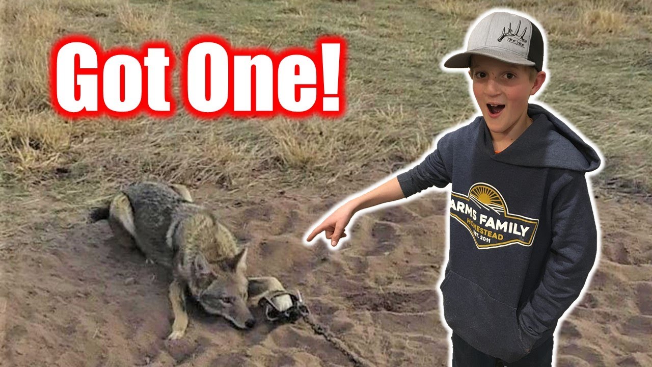 First Coyote of 2022!