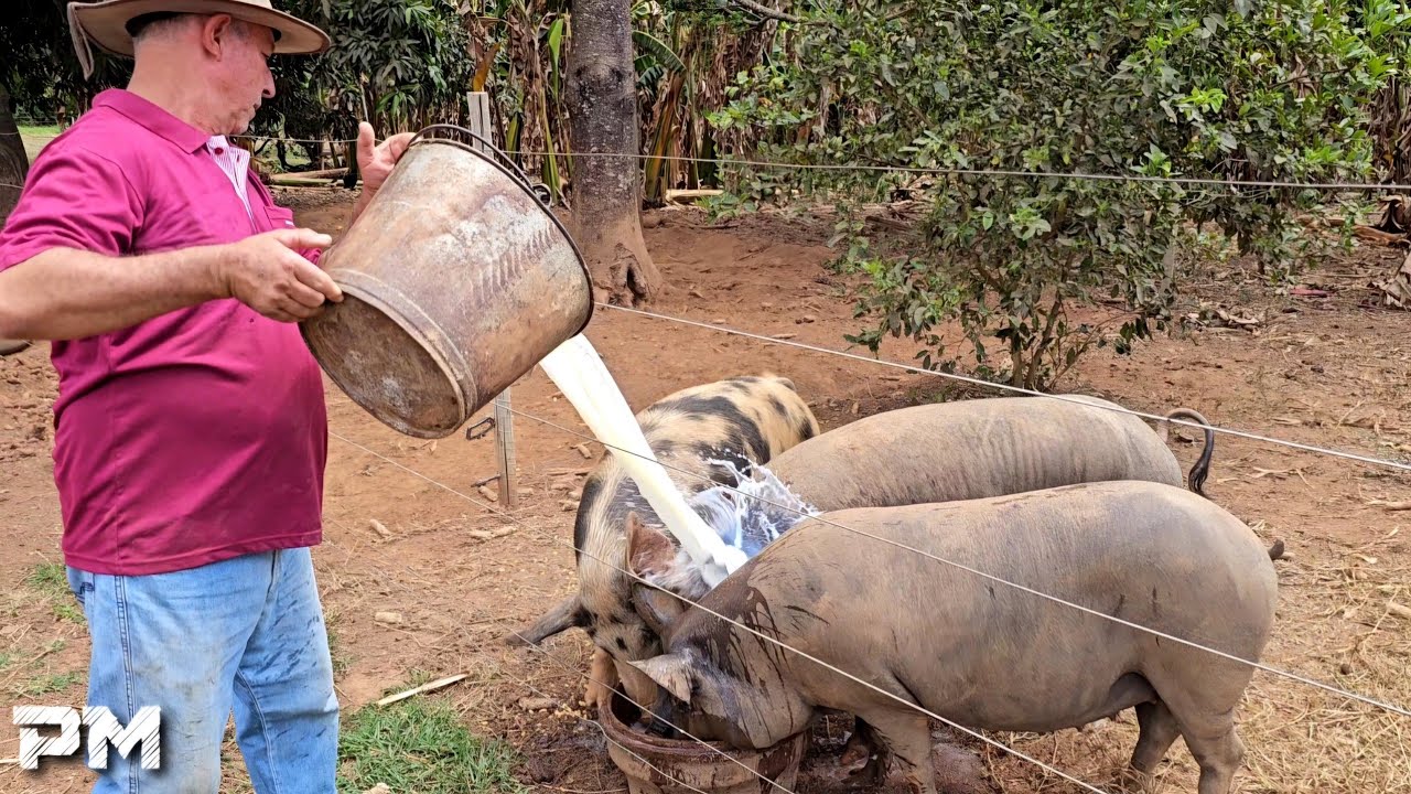 AS COISAS ANTIGAS ESTÃO ACABANDO