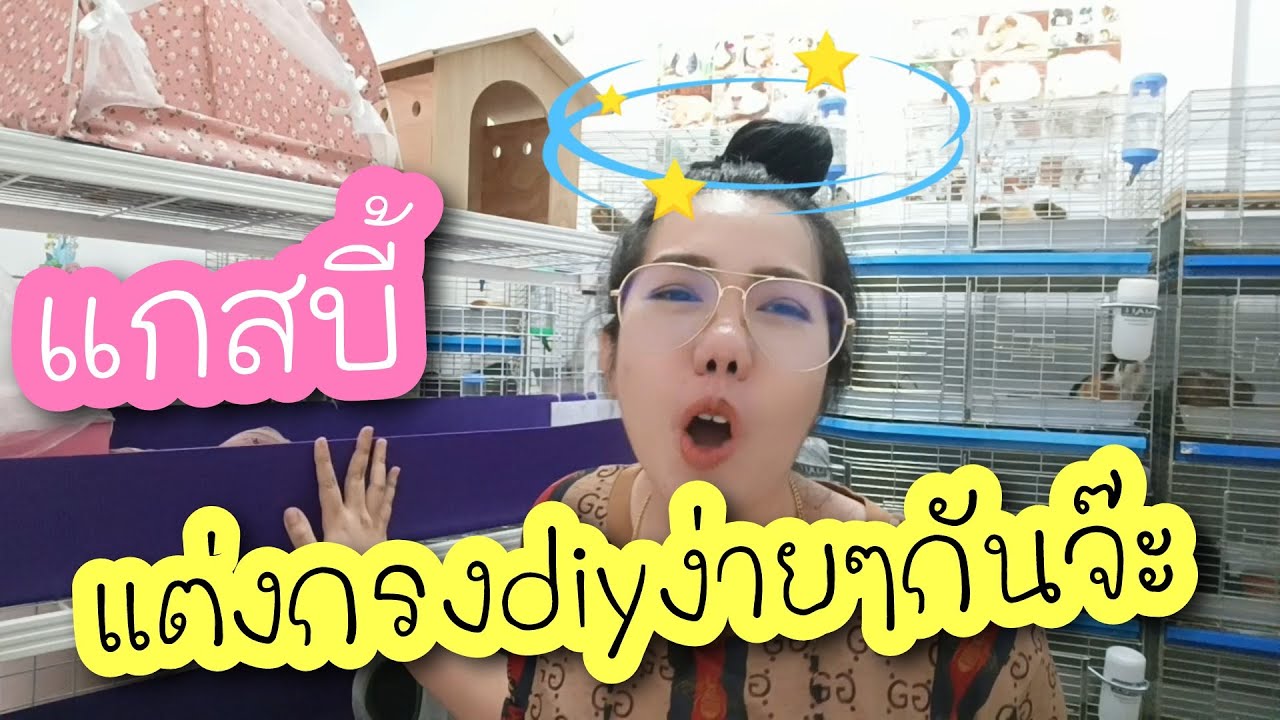 ตกแต่งกรงDIYแกสบี้ กันจ๊ะ