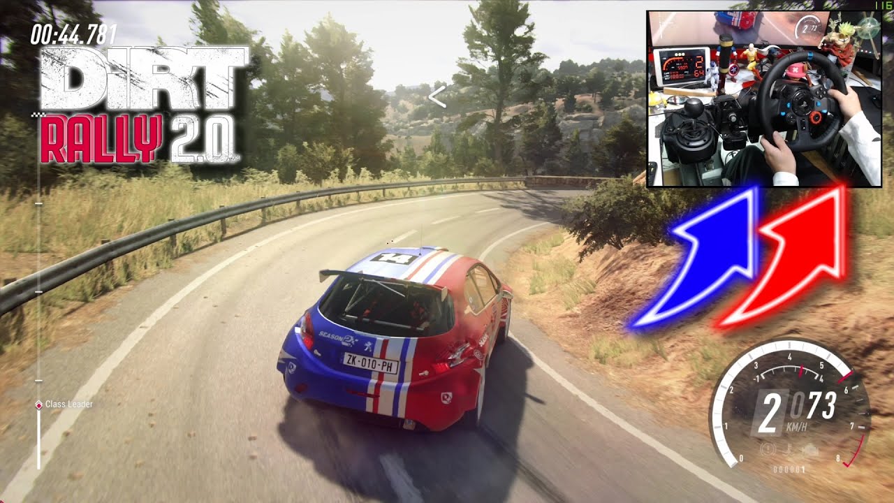 PEUGEOT 208 T16 / Logitech G29 DiRT Rally 2.0