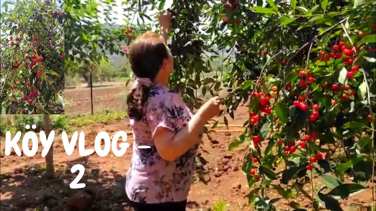 Denizli Tavas  Ulukent Köyü  #köyvlog tavas