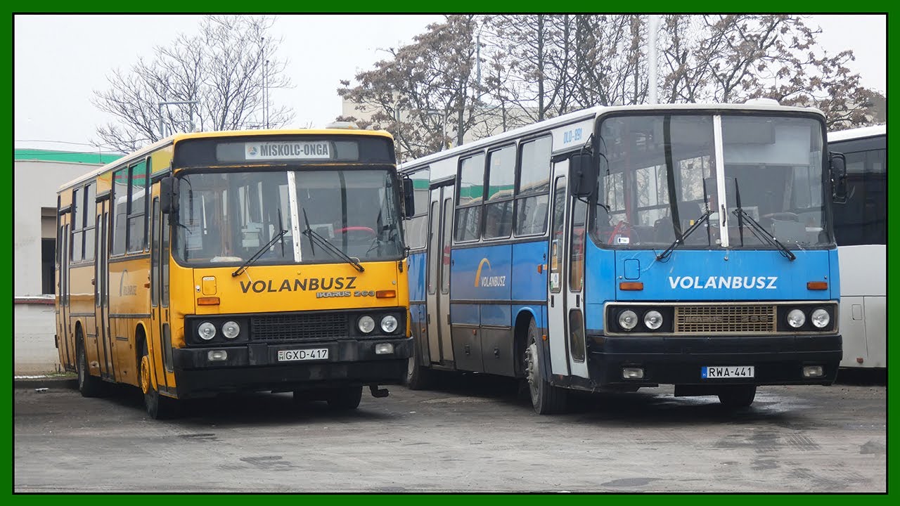 Автобусы Икарус в Мишкольце, Венгрия - март 2021 года (часть 3)