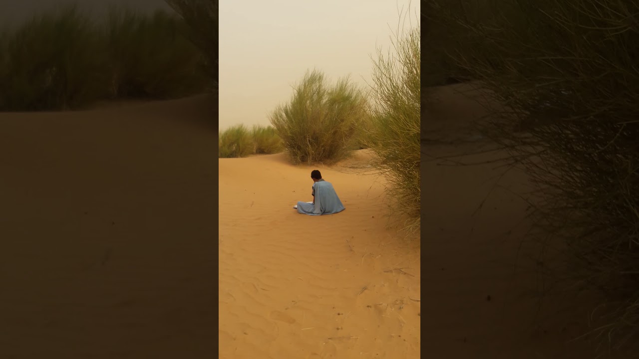 رحلة إلى بلاد شنقيط ٢