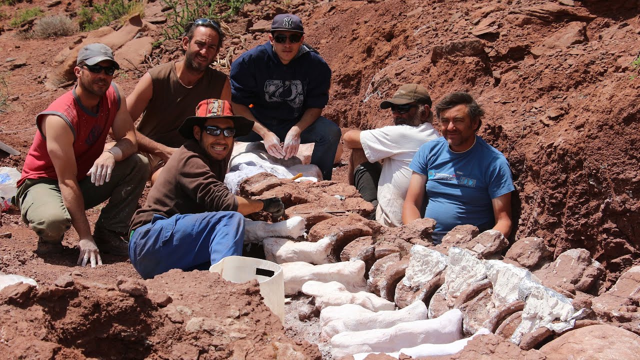 Hallazgo en Neuquén de restos fósiles de un dinosaurio que podría ser el más grande de la historia