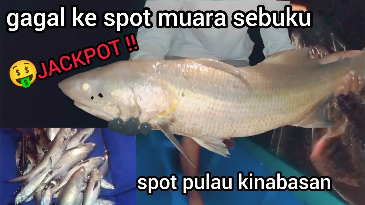 gak ada obat!! spot pulau kinabasan memang mantap