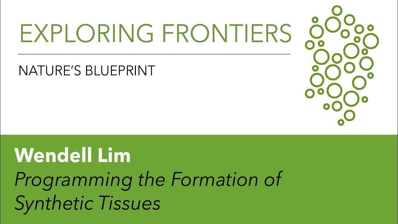 Wendell Lim | Programming the Formation of Synthetic Tissues