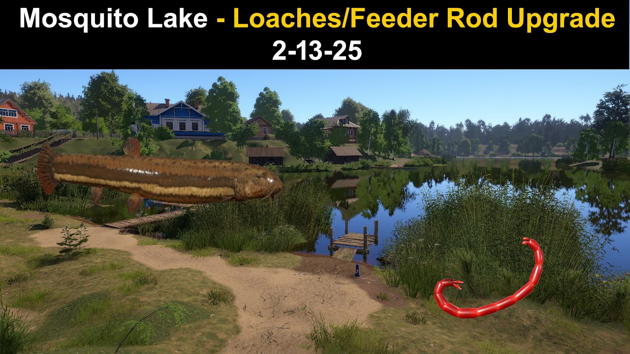 Russian Fishing 4, Mosquito Lake - Loaches/Feeder Rod Upgrade  2-13-25