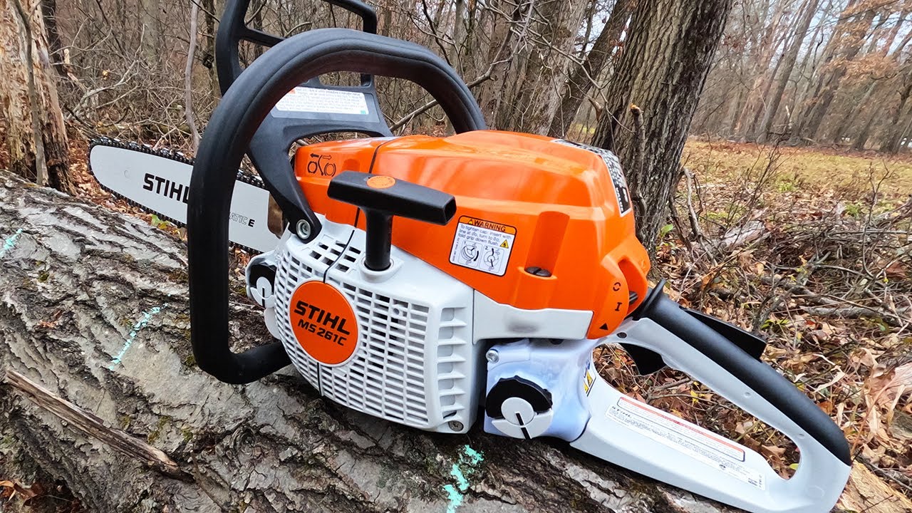 Agree to Disagree - chainsaw bar length