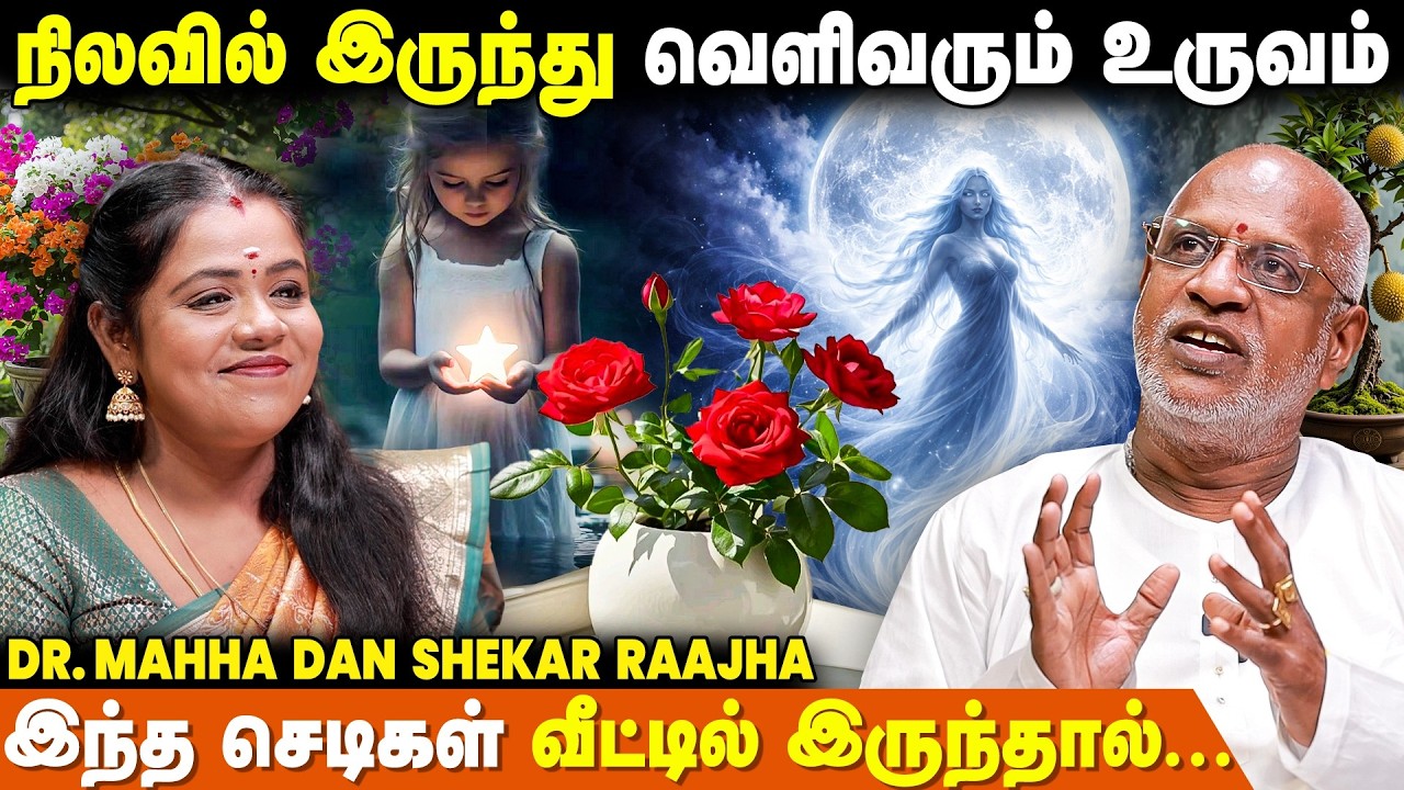 வாழ்க்கைக்கு வழி காட்டும் நட்சத்திரங்கள் - Mahha Dan Shekar Raajha | Format Numerology Tamil