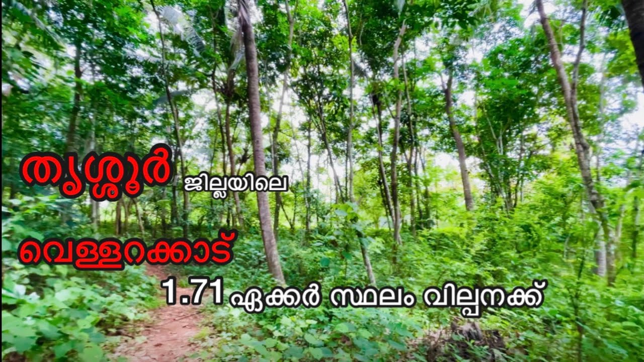 #141 Land for sale at vellarakkad ( kunnamkulam, thrissur )