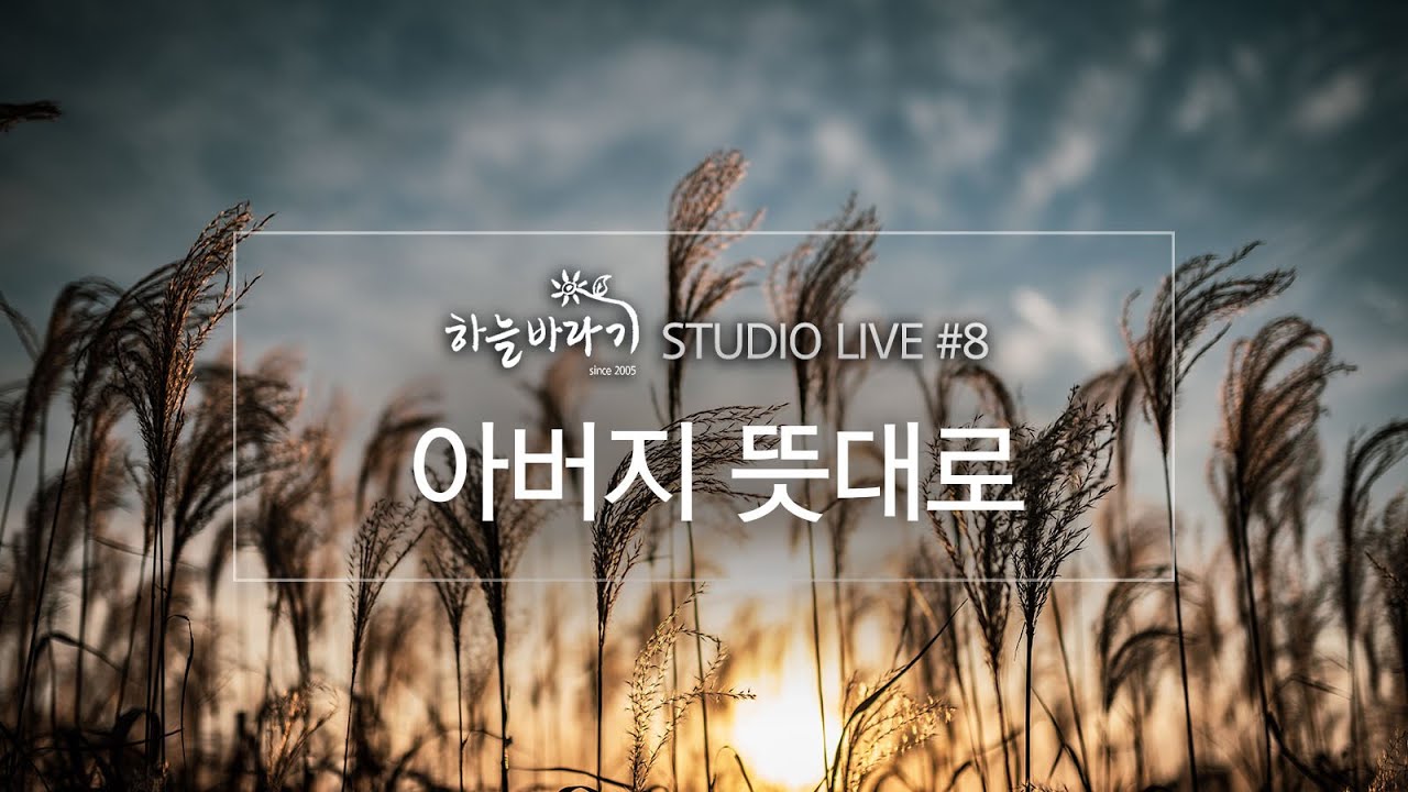 하늘바라기 - 아버지 뜻대로 STUDIO LIVE #8