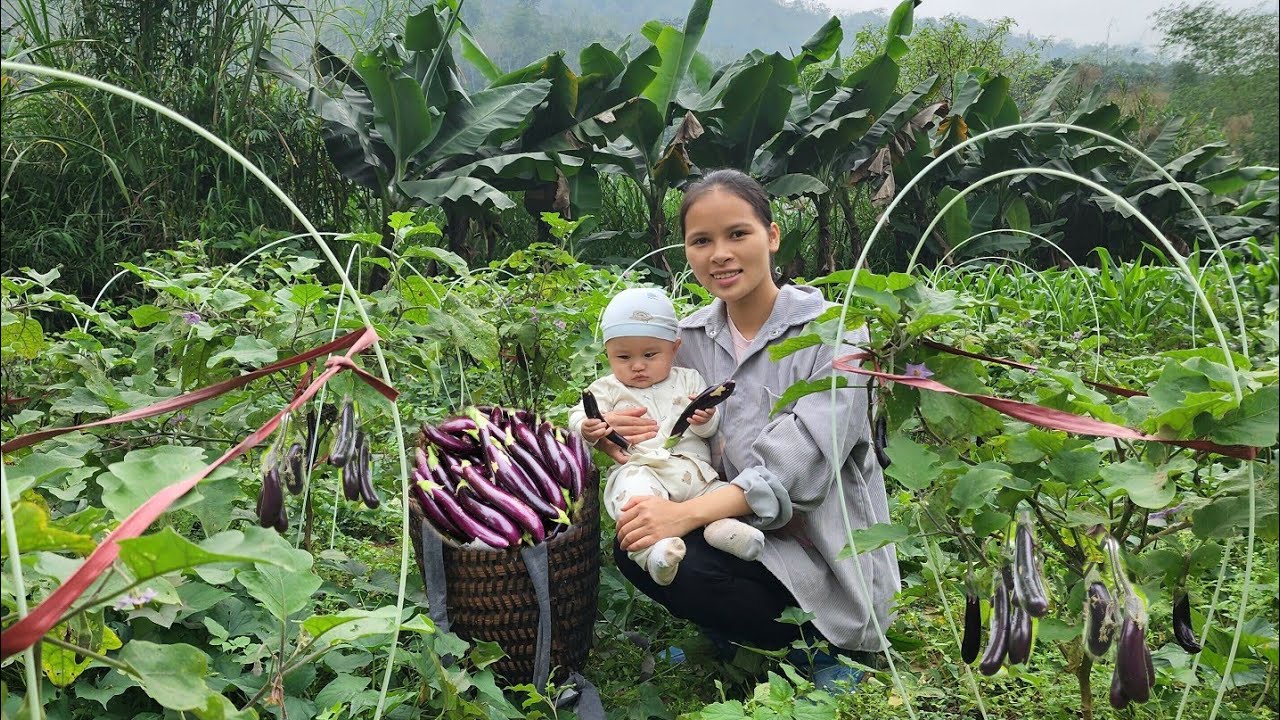 A single mother and her son go harvesting eggplant - planting vegetables - bathing the dog.
