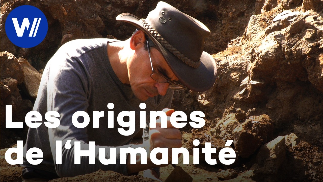 Comment l'humanit&eacute; est-elle apparue ? Sur les traces du premier humain &agrave; Kromdraai en Afrique du Sud