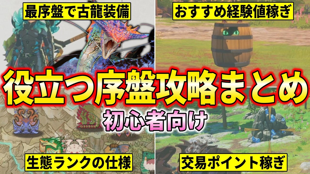 【モンハンストーリーズ3】発売直前！これだけは教えたい『序盤攻略まとめ』紹介します！！！(最強装備/経験値稼ぎ/交易ポイント稼ぎ/里孵し/バトルメンバー etc)