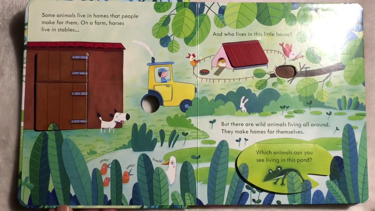Peep inside Animal homes