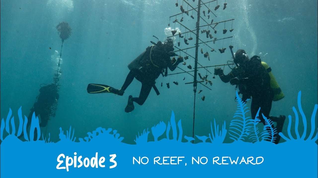 Into the Wild with the EAG: The Coral Code 🪸| No Reef🚫, No Reward🙅‍♀️| Episode 3