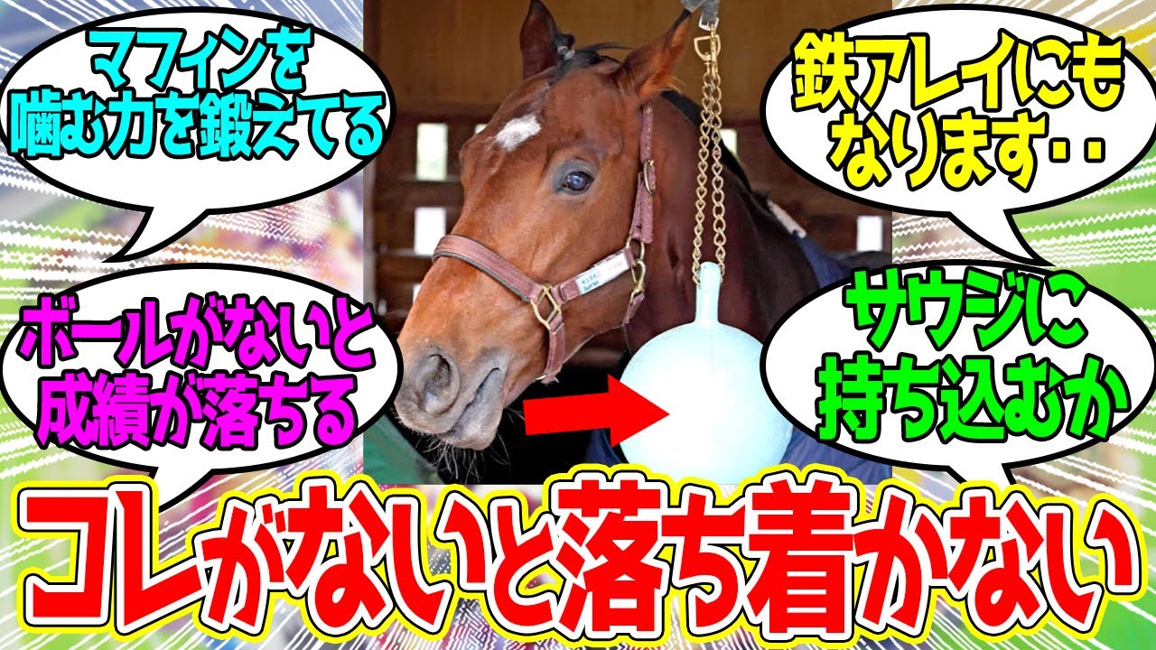 サンライズジパングの秘密のトレーニングがバレた？に対するみんなの反応！【競馬 の反応集】