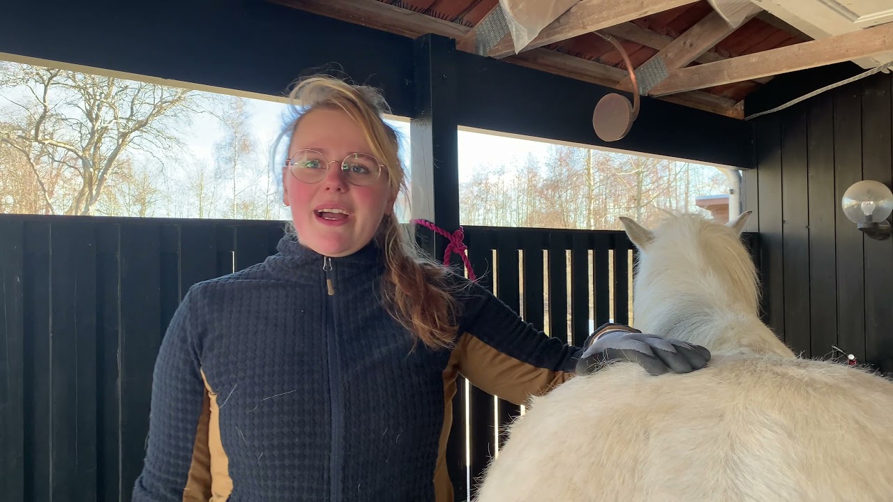 Tips - Sådan tager man en sko af - Beslagsmed Victoria van Rooij