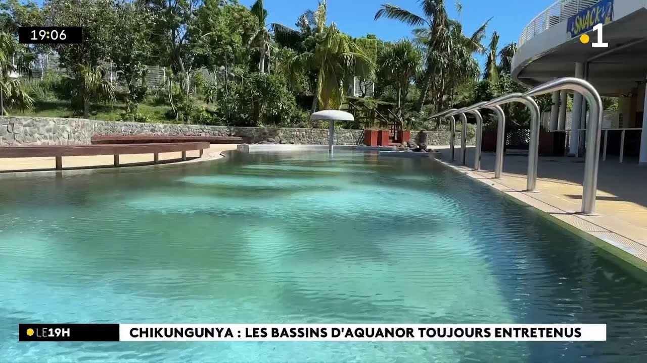 Chikungunya : le parc Aquanor et ses bassins inquiète