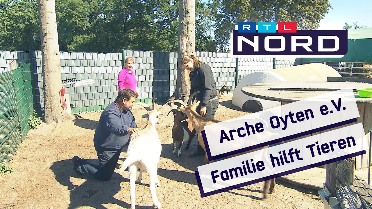 Hilfe f&uuml;r Tiere in Not - Ein neues Zuhause bei Familie Sommer
