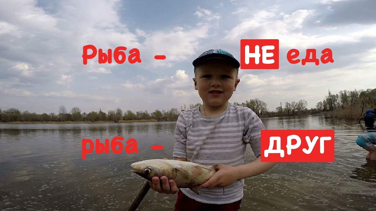 Озеро Редькино (Министерка), Киев. РАДИ ТАКИХ МОМЕНТОВ СТОИТ ЖИТЬ!