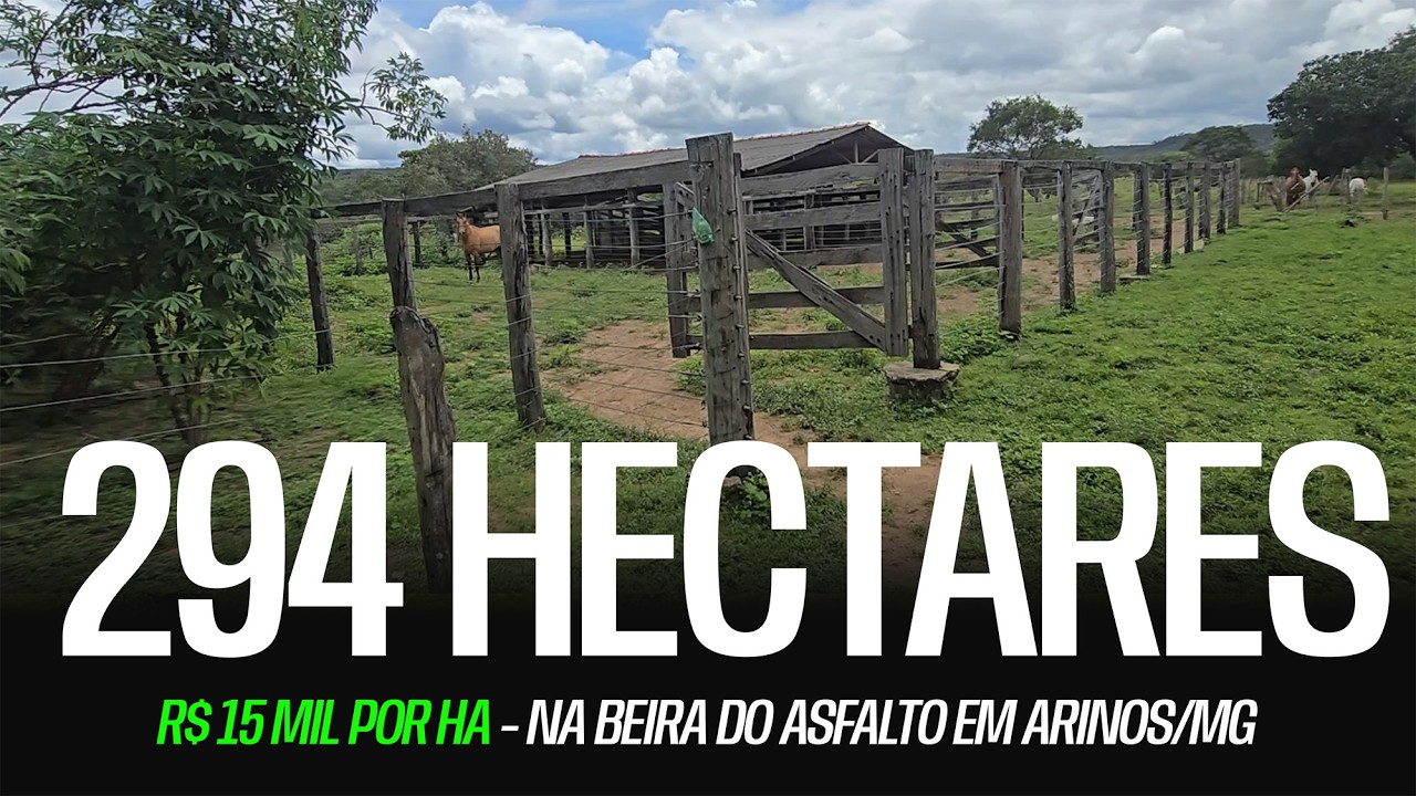 FAZENDA À VENDA NA BEIRA DO ASFALTO EM ARINOS/MG – 294 HECTARES | R$ 15.000 POR HECTARE