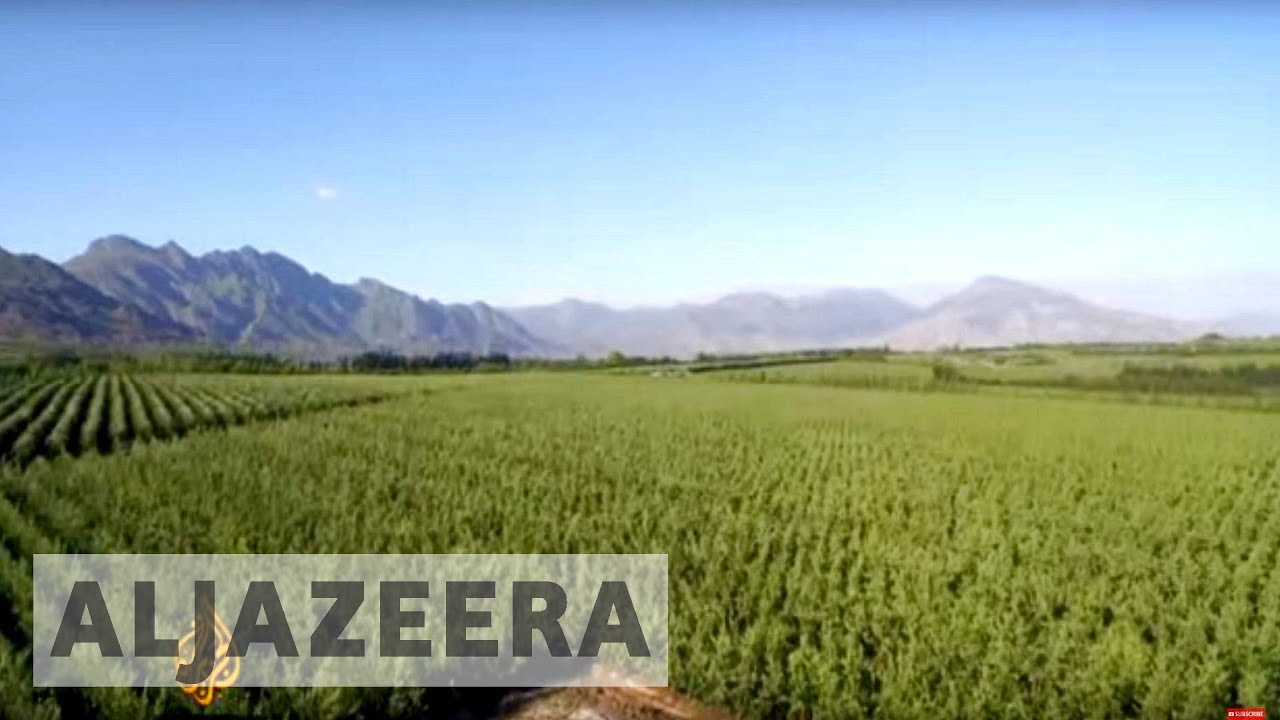 earthrise - Food: Farming for the Future - earthrise