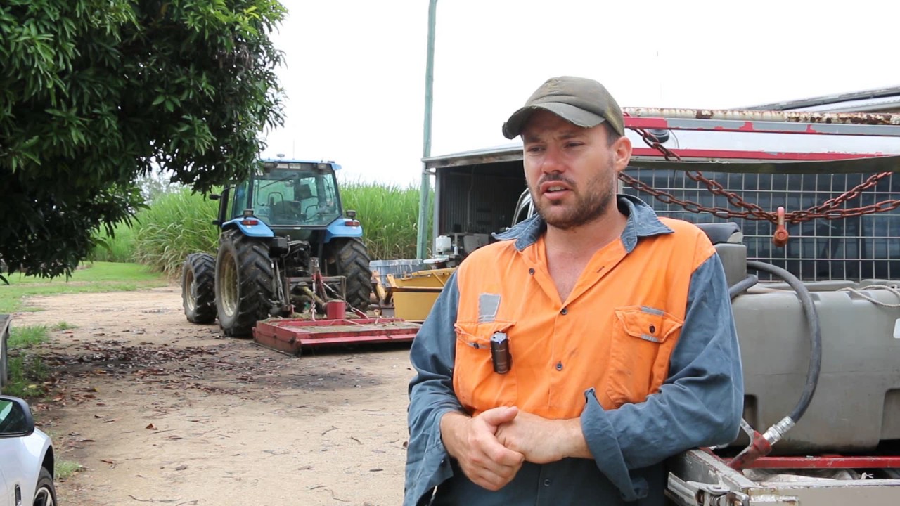 Starting out sugarcane farming
