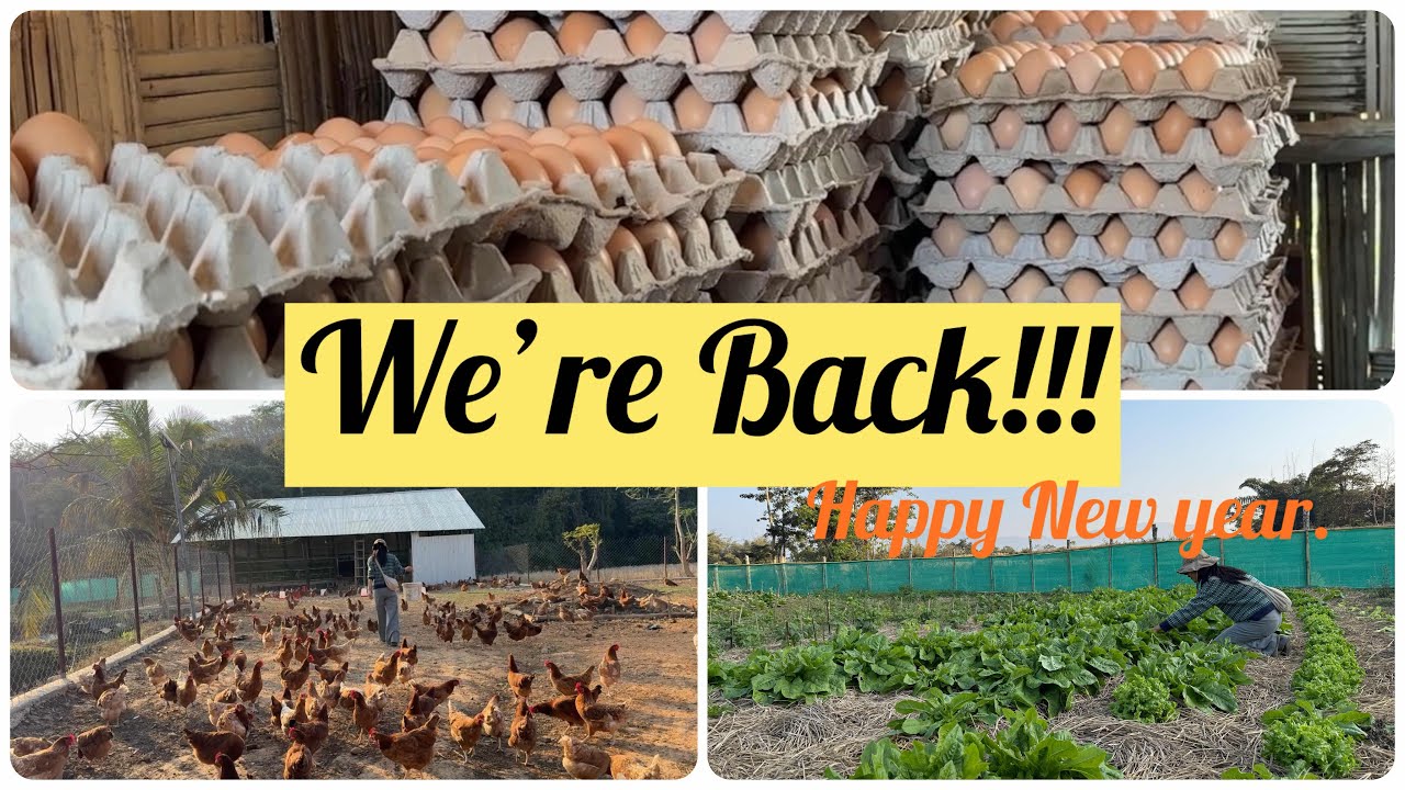 We&rsquo;re Back! | Happy New Year from I.M Home Harvest 🌱 #Farmlife