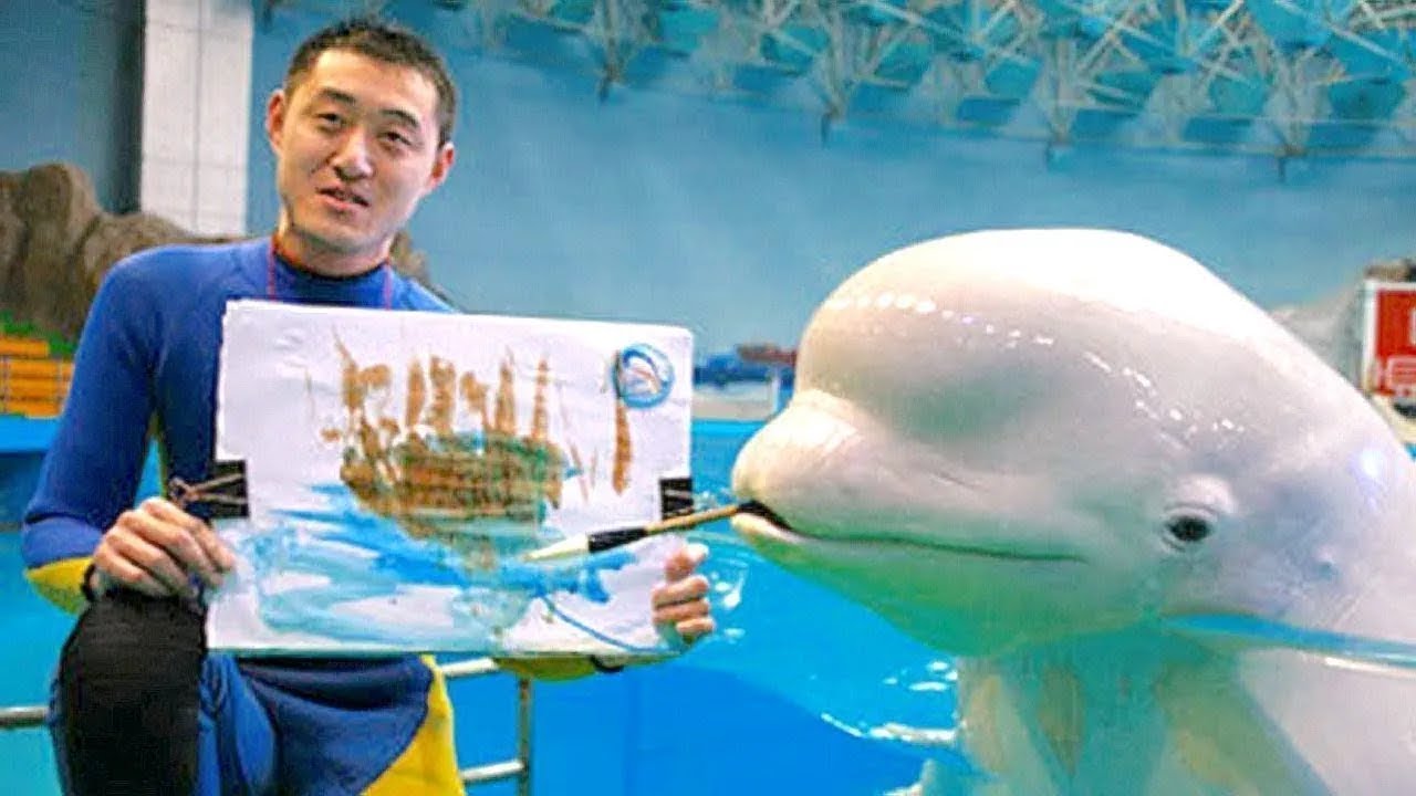 Smartest Sea Creatures That Will Blow Your Mind