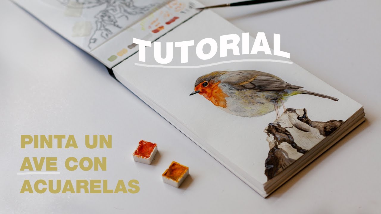 [Tutorial paso a paso] Aprende a pintar un Ave con Acuarelas