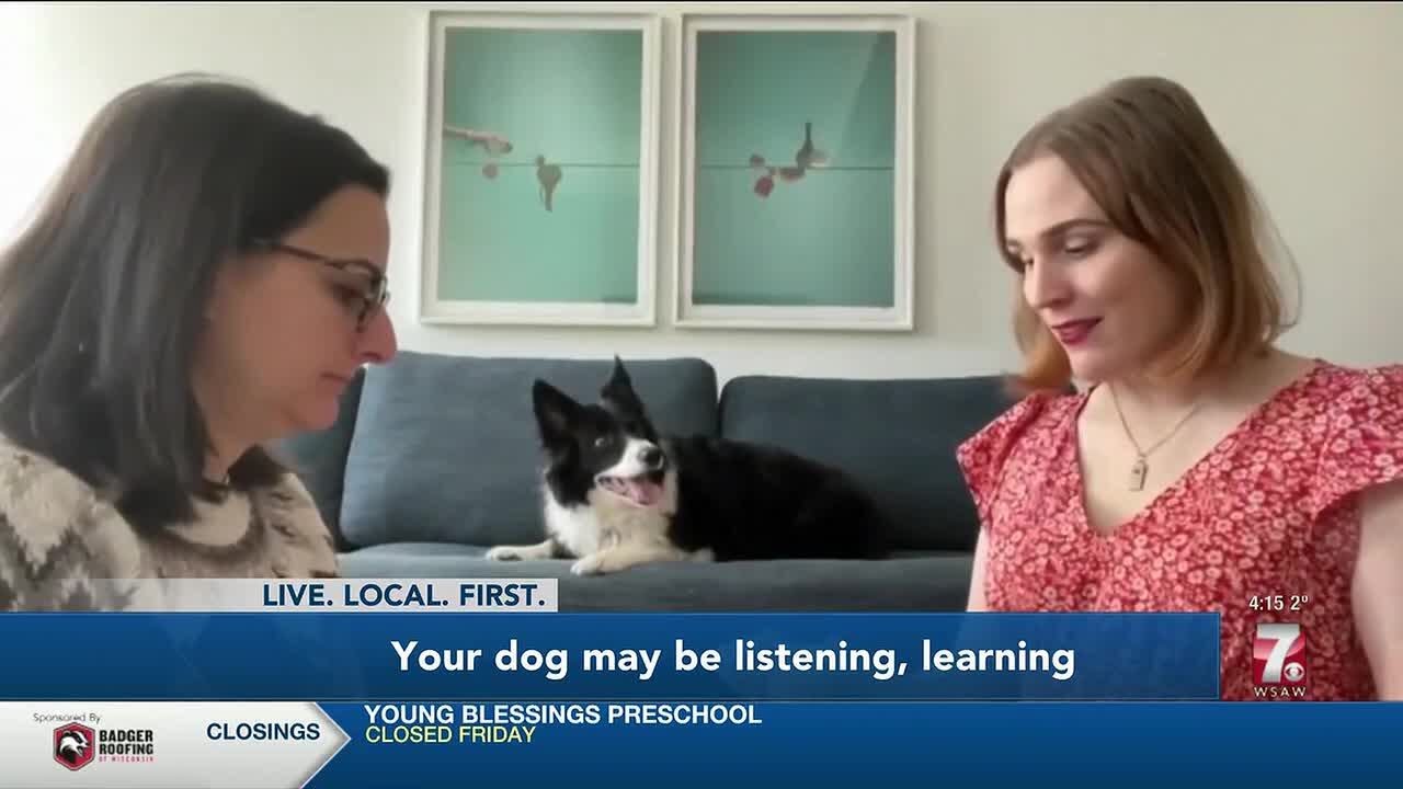 Is your #dog listening to, and learning from your converations?