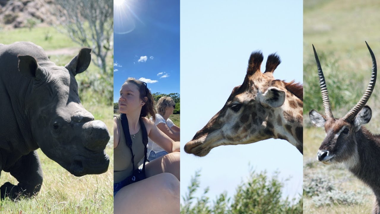 FIRST GAME DRIVE @Kragga Kamma Game Park In Port Elizabeth South Africa