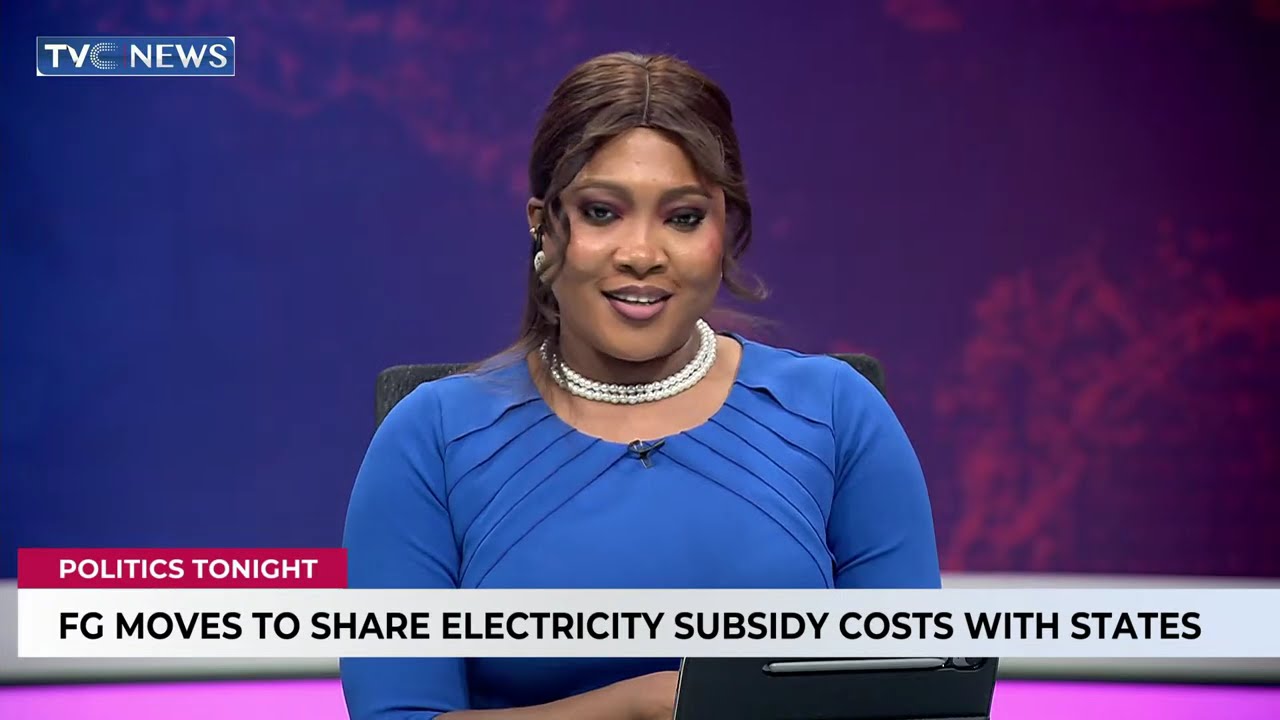 Electricity Is Not A Social Commodity, FG Alone Can’t Carry The Burden, Govs Must Sit Up - Dan Kunle
