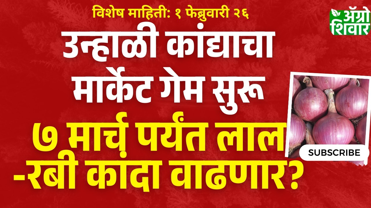 kanda bajar bhav | उन्हाळी कांद्याचा गेम सुरू, कांदा बाजार भाव होळीनंतर वाढणार का?