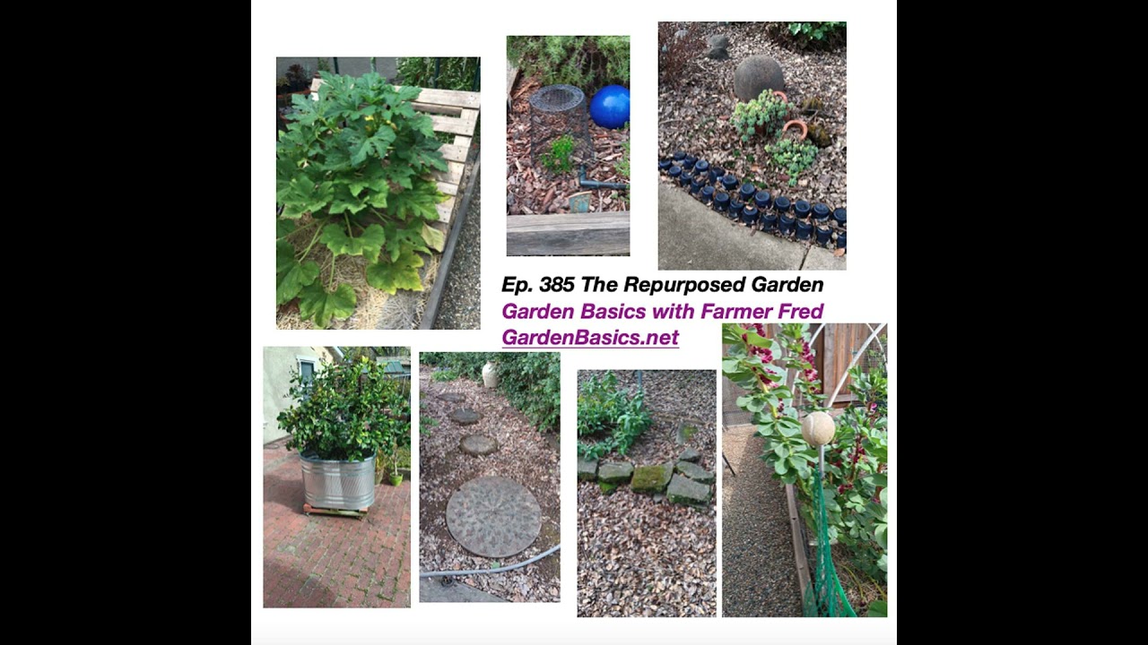 385 The Repurposed, Sustainable, and Creative Garden
