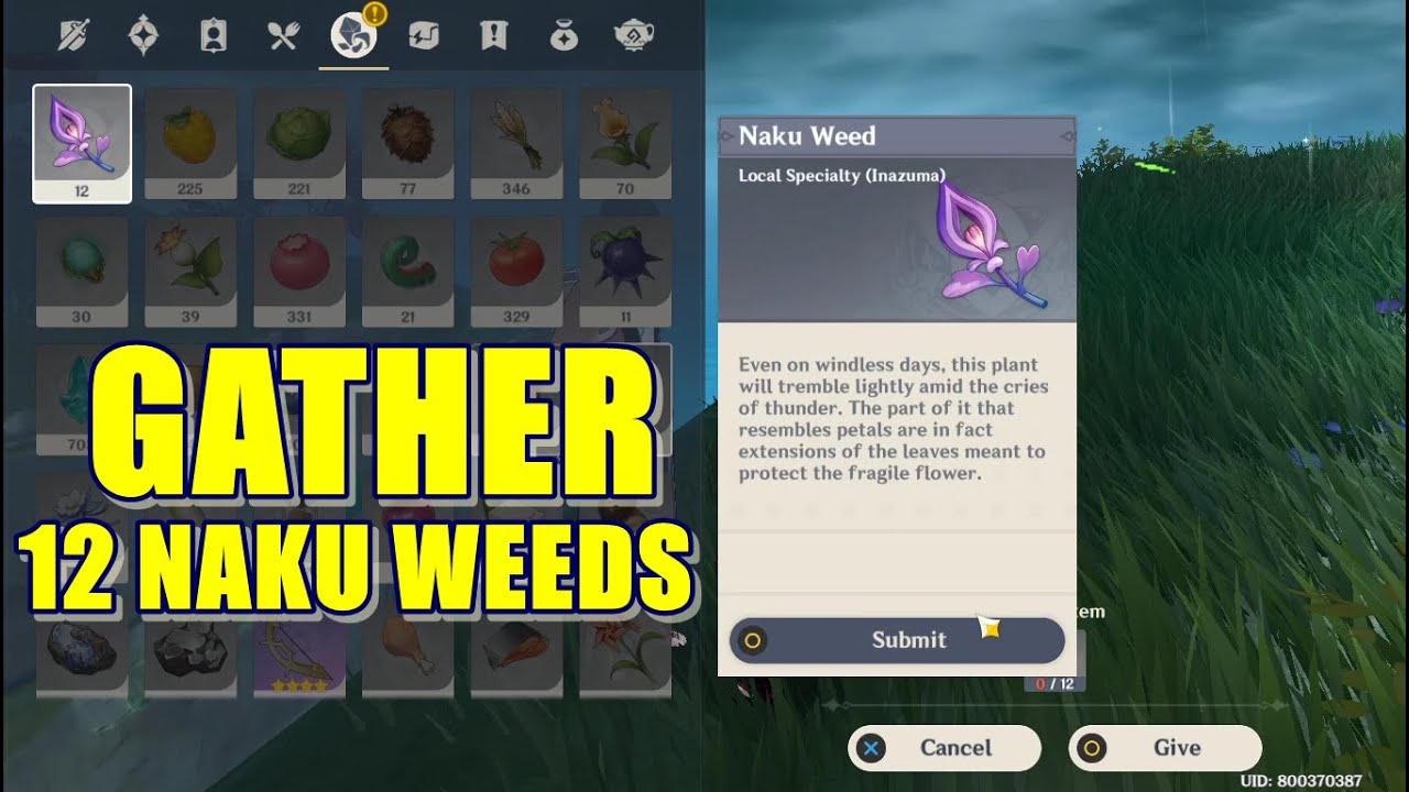 Gather 12 Naku Weeds | Genshin Impact
