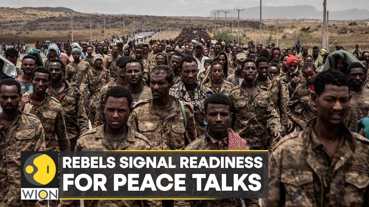 Ethiopia's Tigray rebels say ready for AU-led peace talks | Latest English News | WION