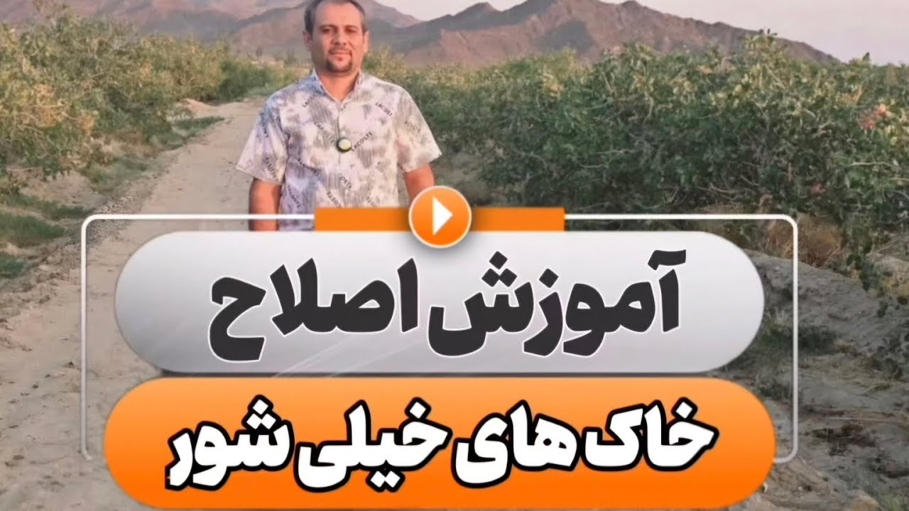 پسته کاری اصولی در آب های خیلی شور