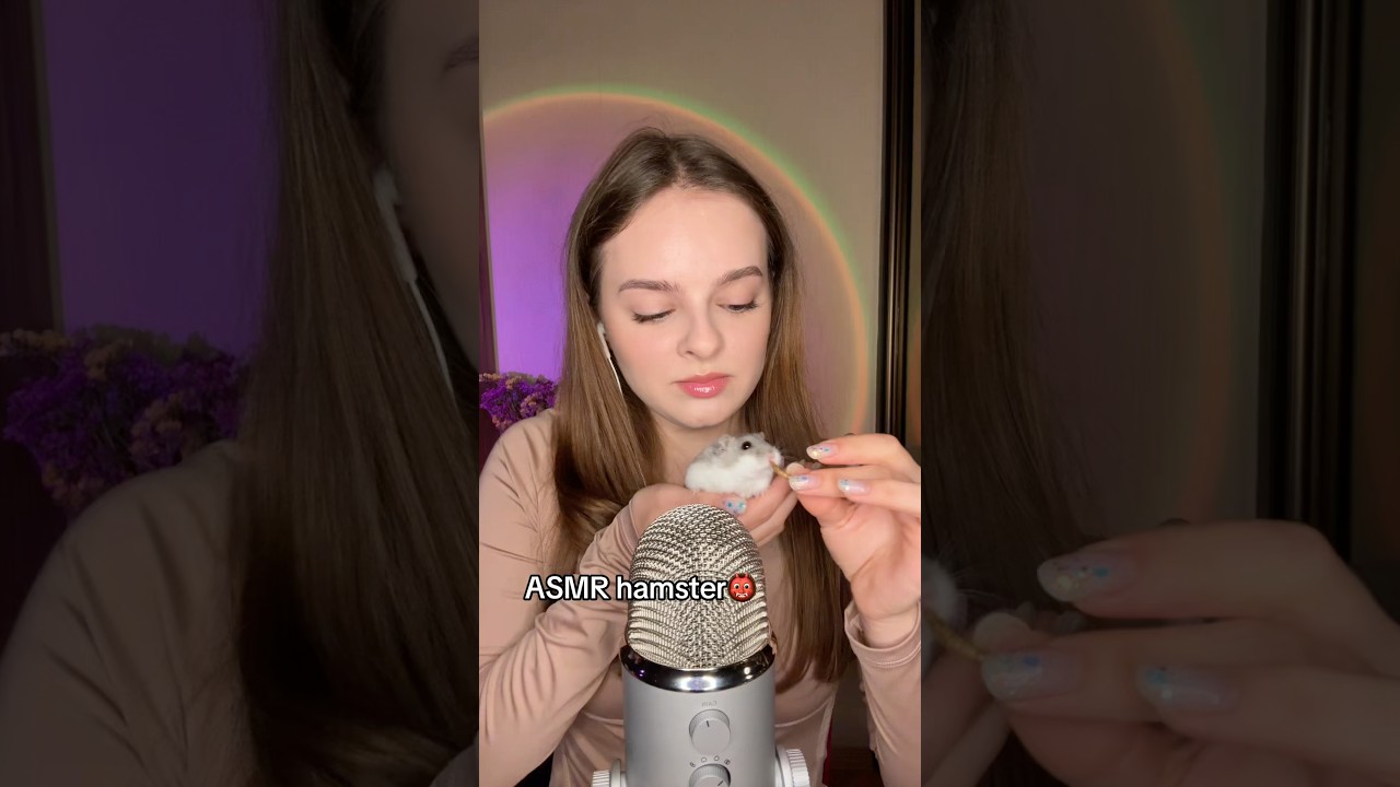 ASMR hamster🐹 #asmr #asmrtriggers #relax #asmrvideo
