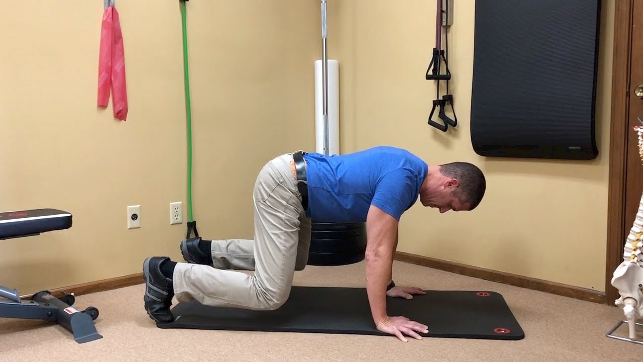 BEAR EXERCISES | Fix Flexion Intolerance - Pain Bending Over/Down
