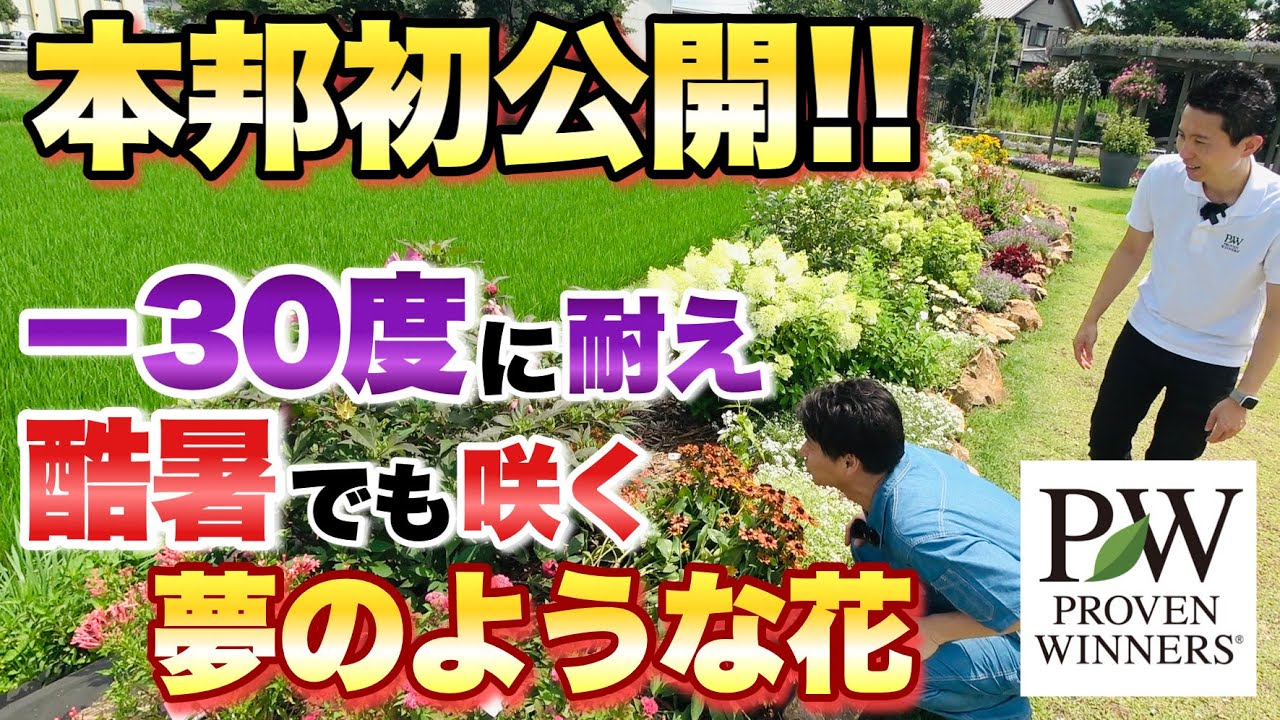 【この動画で初公開！】PWガーデンでとんでもない花を発見しました！！【ガーデニング】