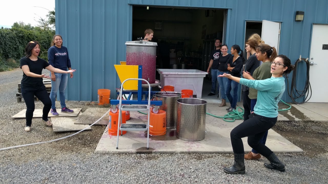 Wine Making Overview