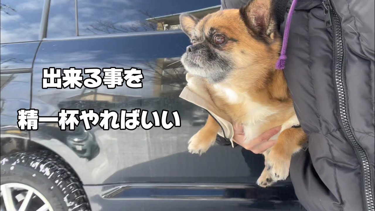 【日々が変わっていく】病気になっても負けない気持ちを教えてくれた犬と猫