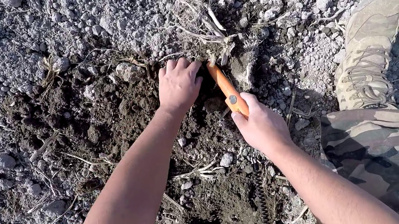 Monete rare incredibili ritrovamenti con i metal detector