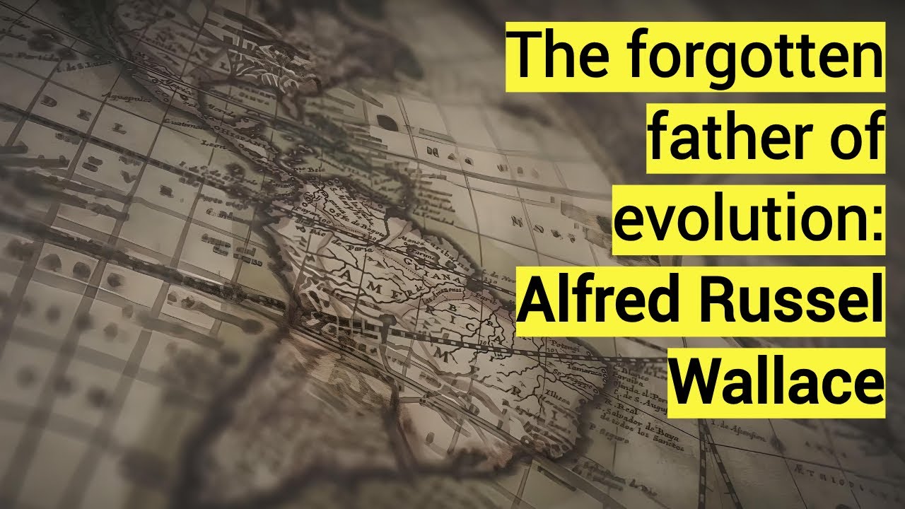 The Forgotten Father of Evolution - Alfred Russel Wallace
