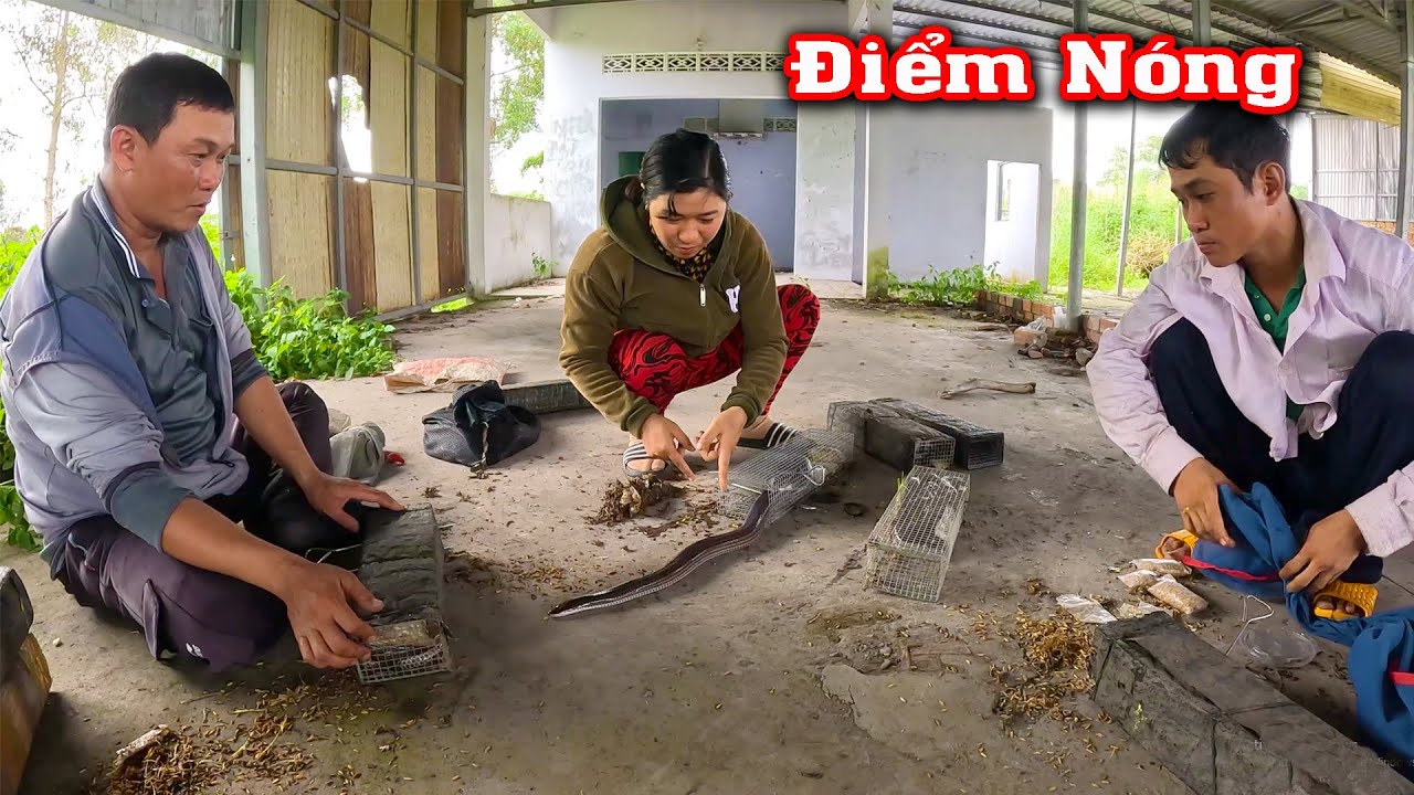 Złapanie dużego WĘŻA w pustym domu # CSBR # 424