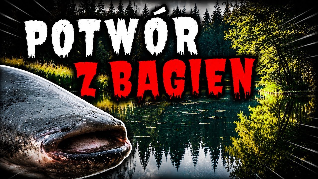 SUMY Z JEZIORA | TU PŁYWAJĄ KABANY