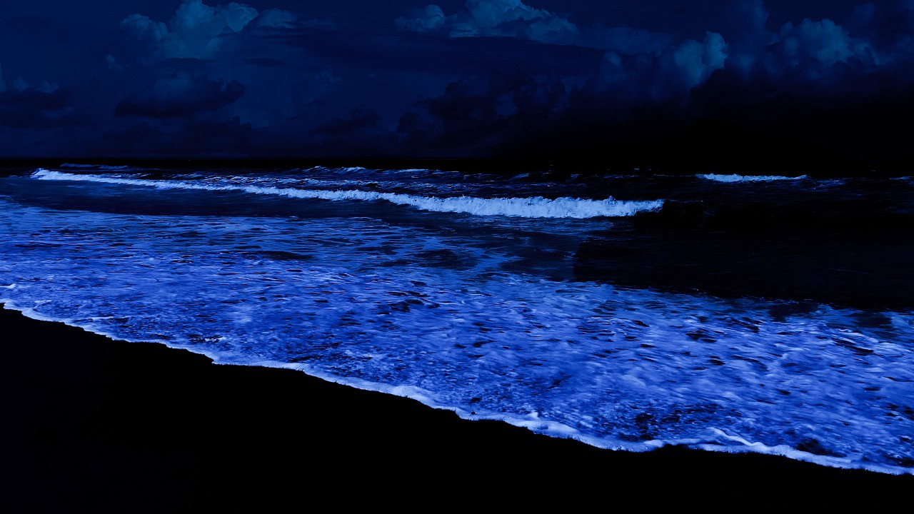 Listening to sounds to help Whole Body Renewal & Restorative Sleep - Ocean Sounds for Deep Sleeping